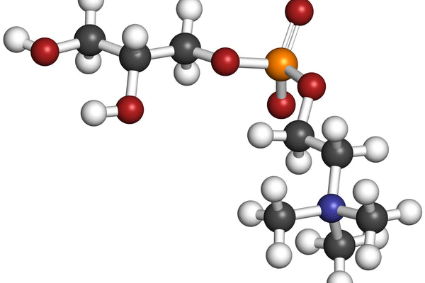 Alpha-GPC