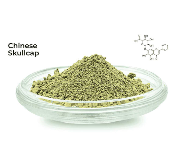 Chinese Skullcap