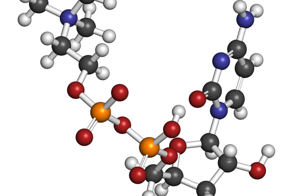 Citicoline