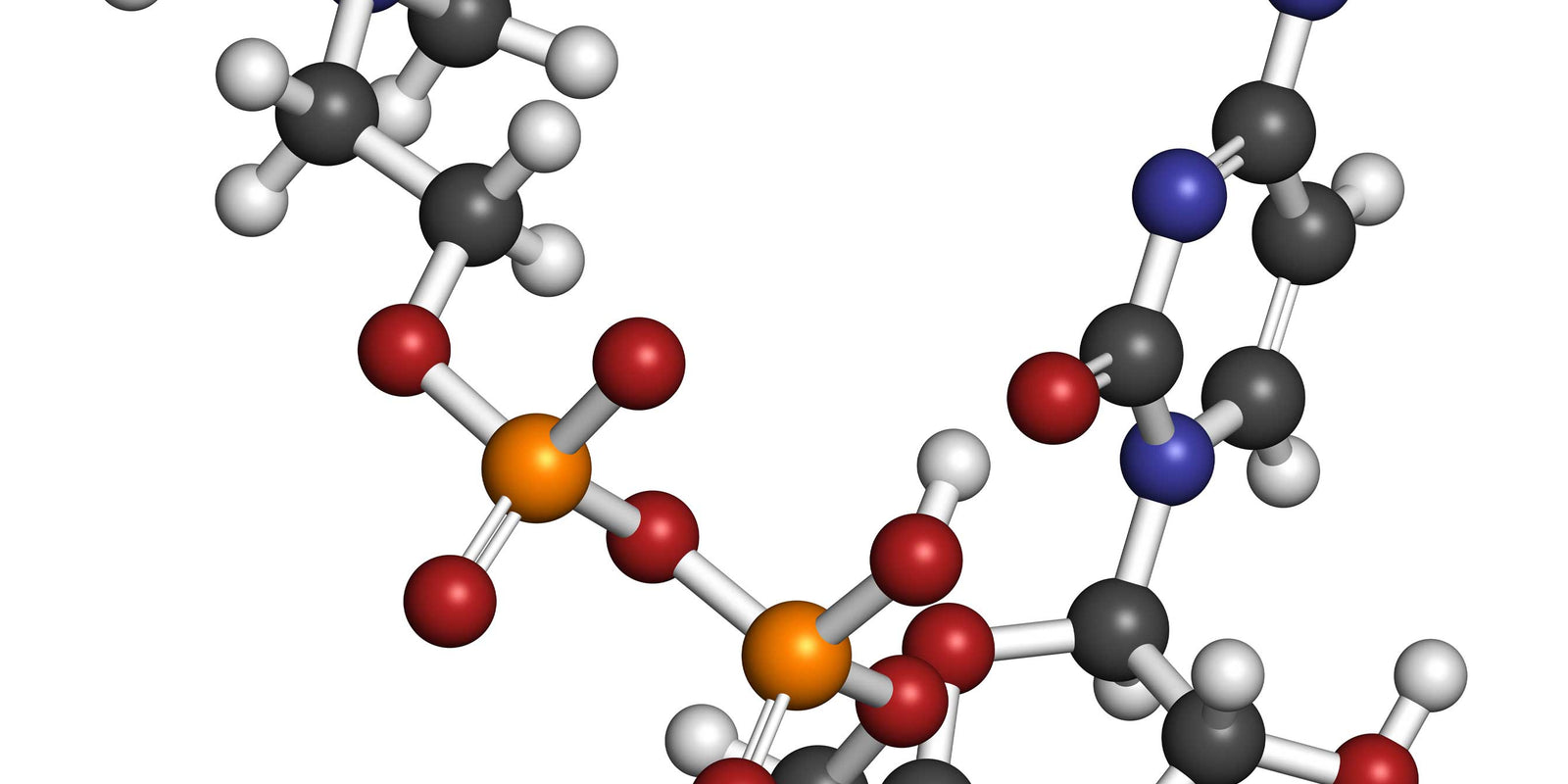 Citicoline