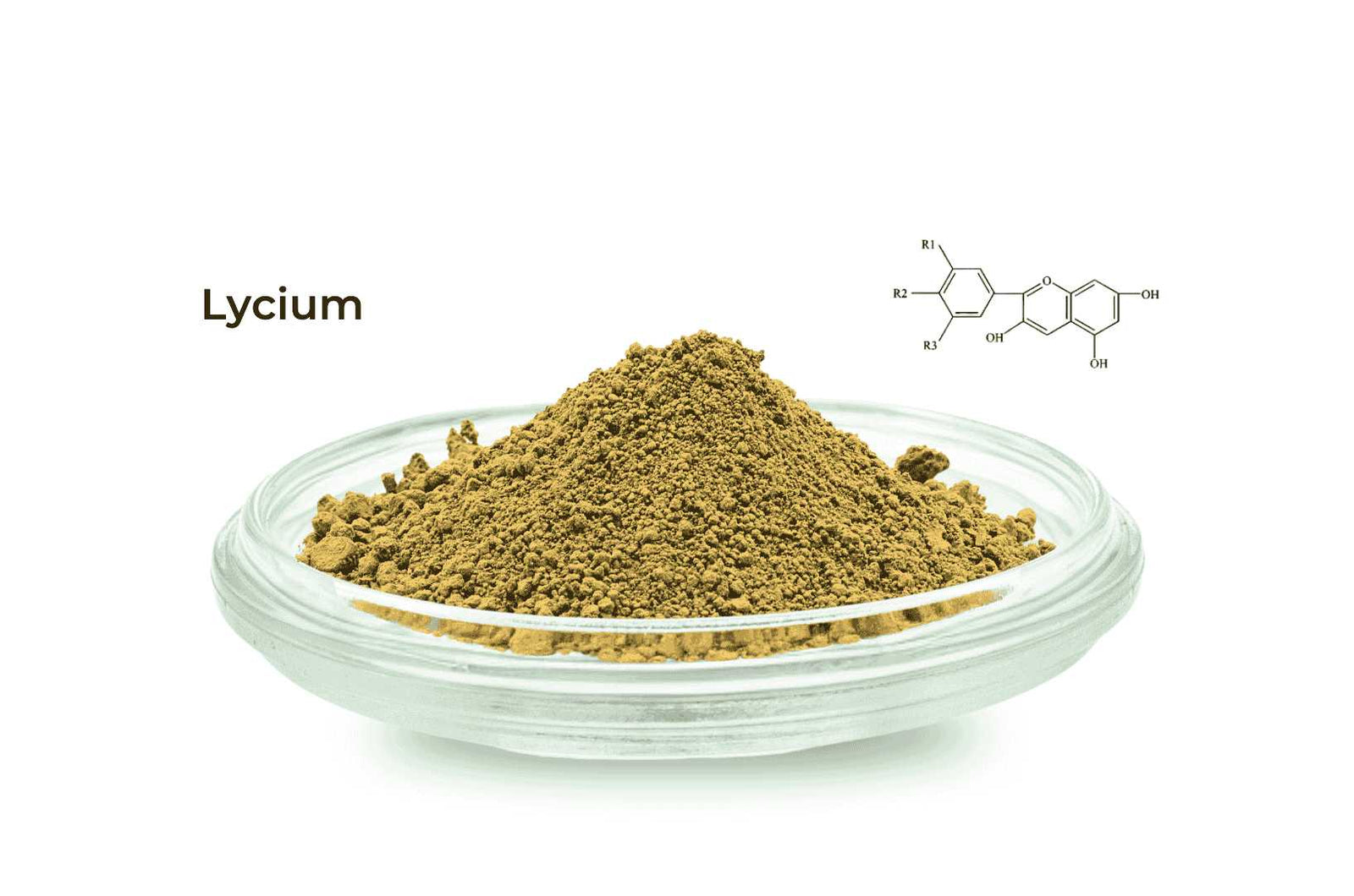 Lycium