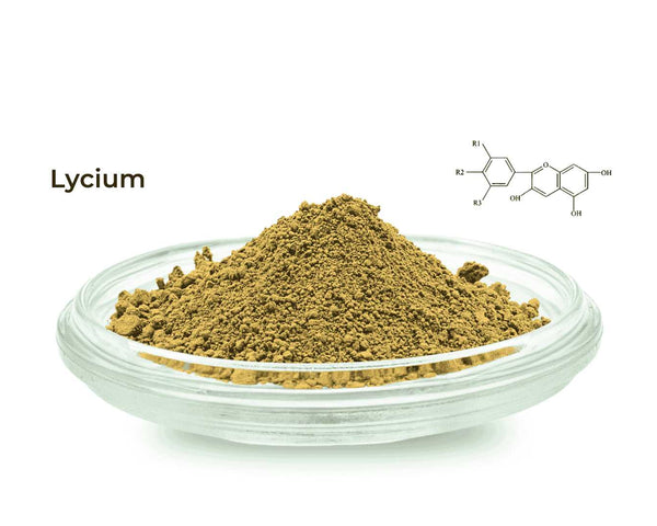 Lycium