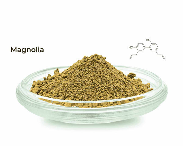 Magnolia