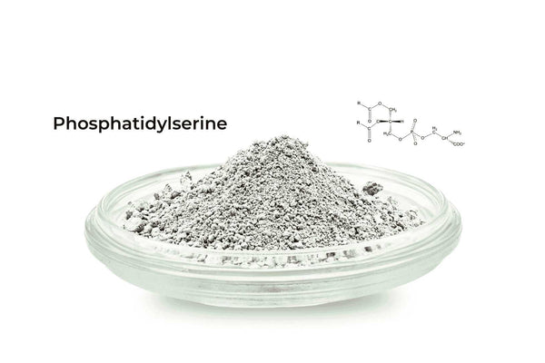 Phosphatidylserine