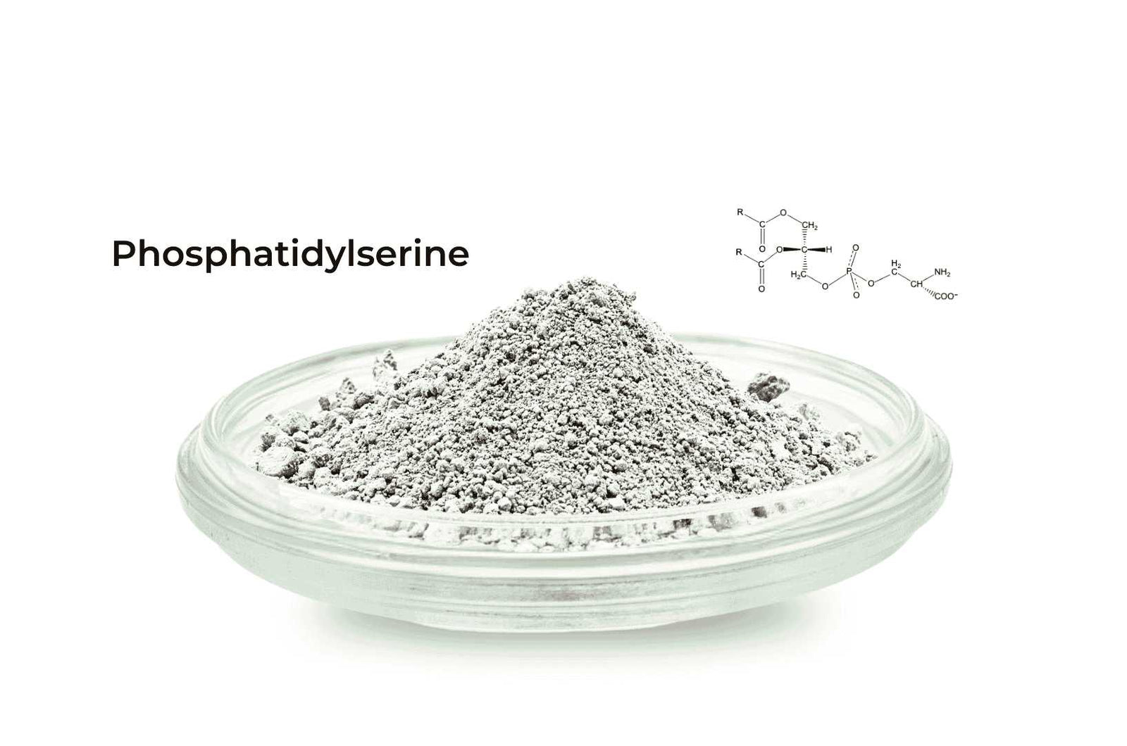 Phosphatidylserine