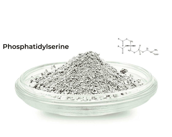Phosphatidylserine