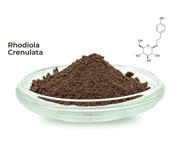 Rhodiola Crenulata