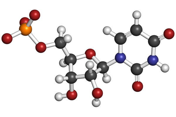 Uridine