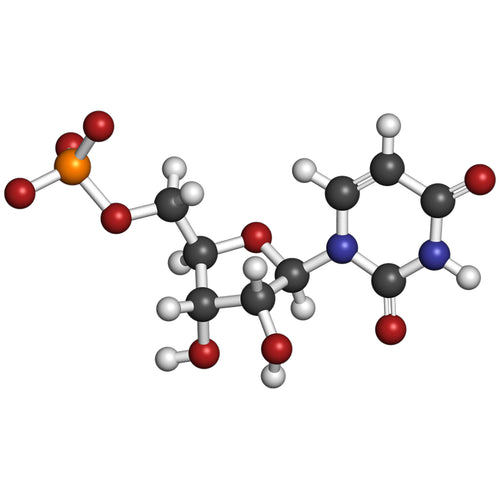 Uridine