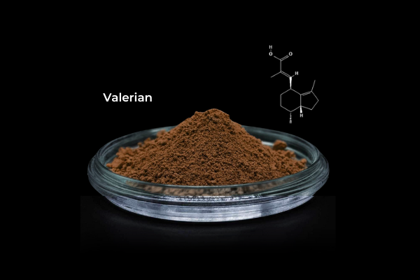 Valerian Root