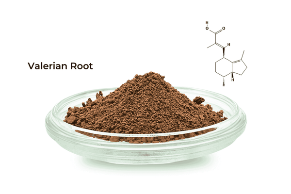 Valerian Root