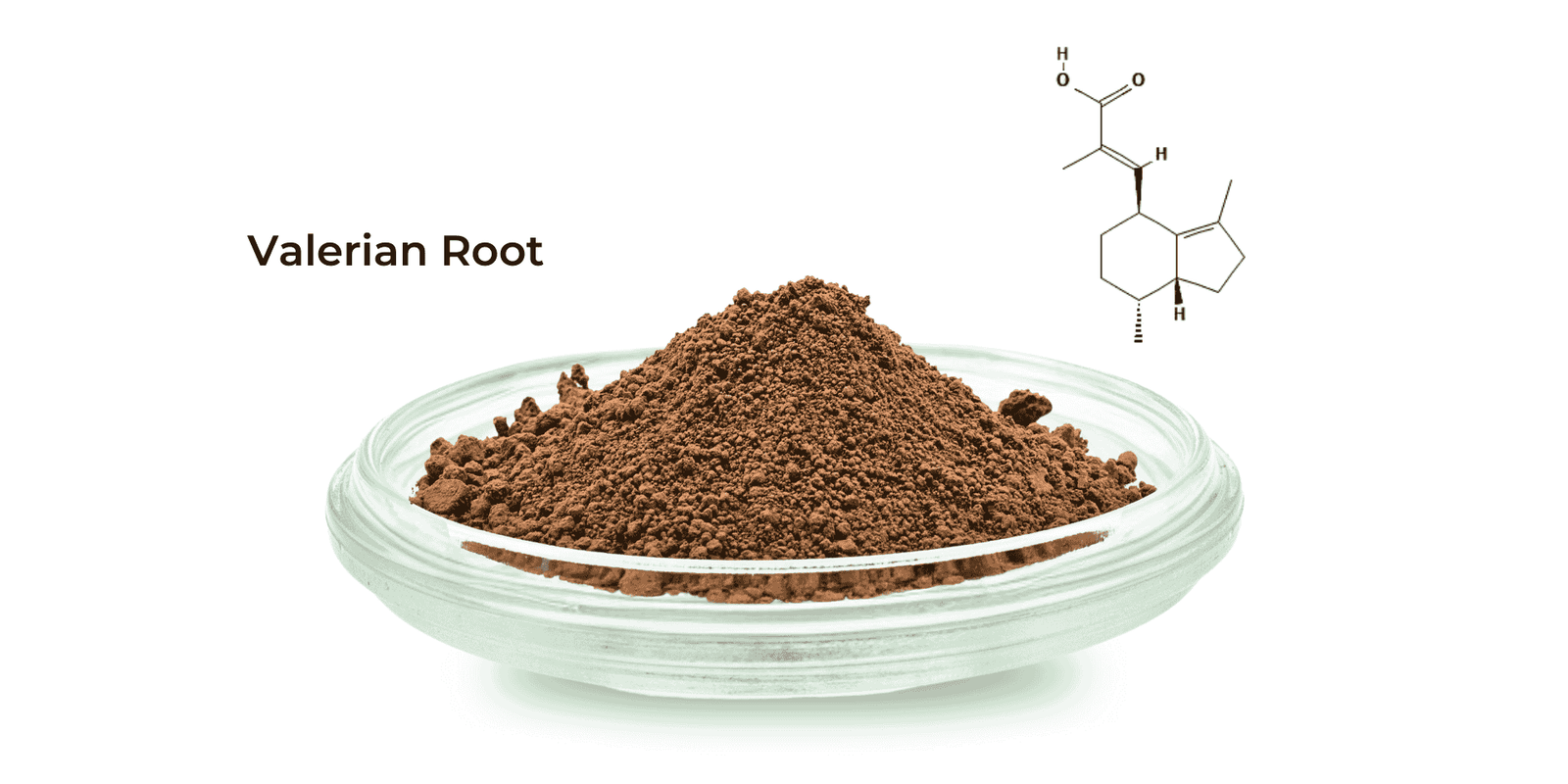 Valerian Root