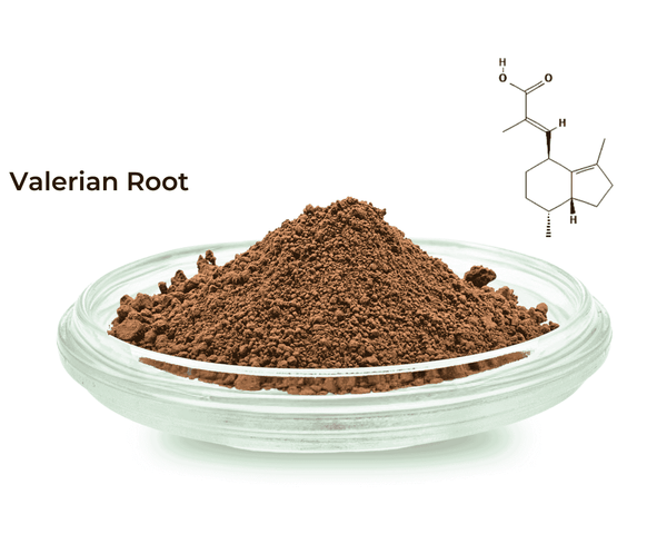 Valerian Root