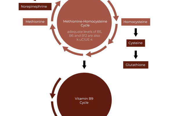 Methylated Vitamin B-Complex