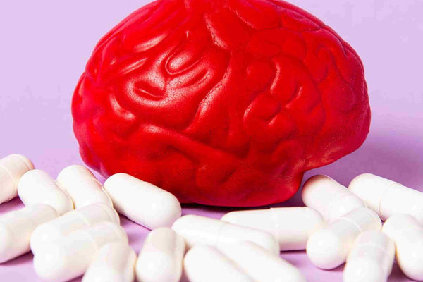 Best Brain Supplements