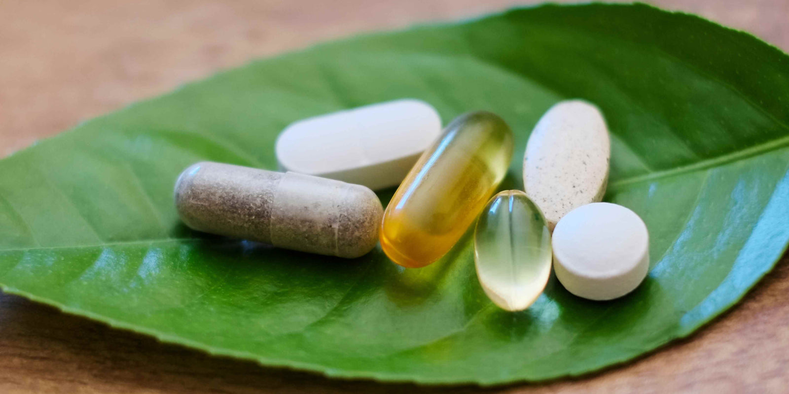 Natural Nootropics: Natural supplements on top of a leaf