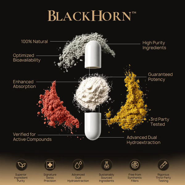 BlackHorn